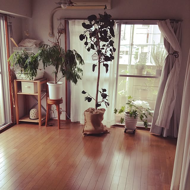 Moriさんの実例写真