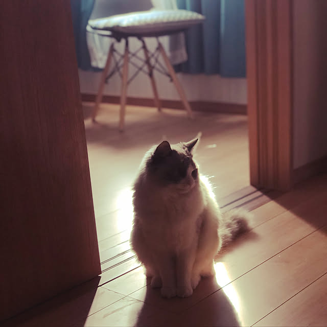 tacさんの実例写真