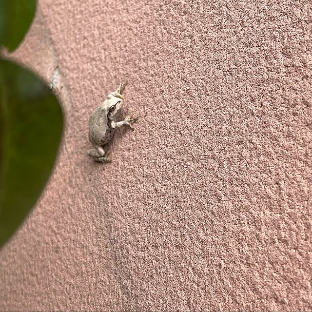 kakoさんの実例写真