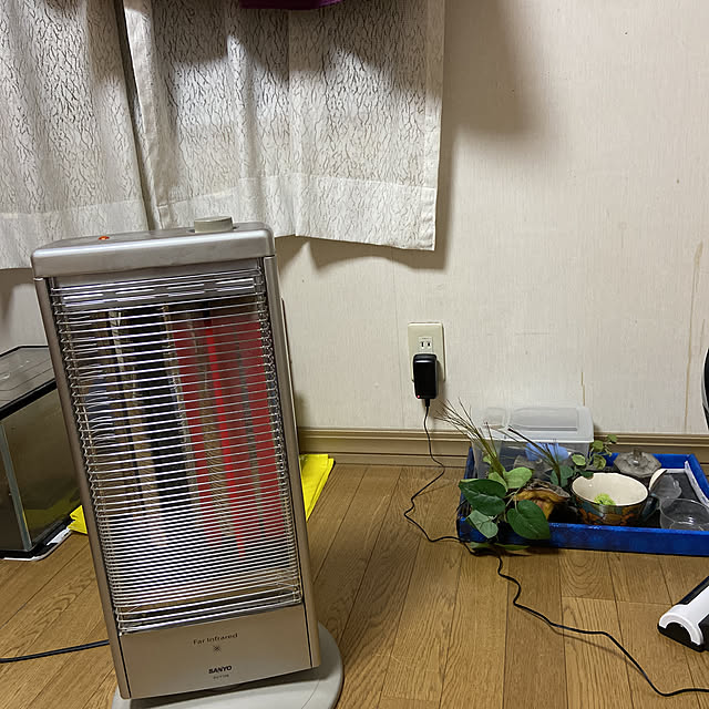 壁/天井のインテリア実例 - 2020-03-29 19:36:02