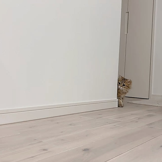 miyu39さんの実例写真