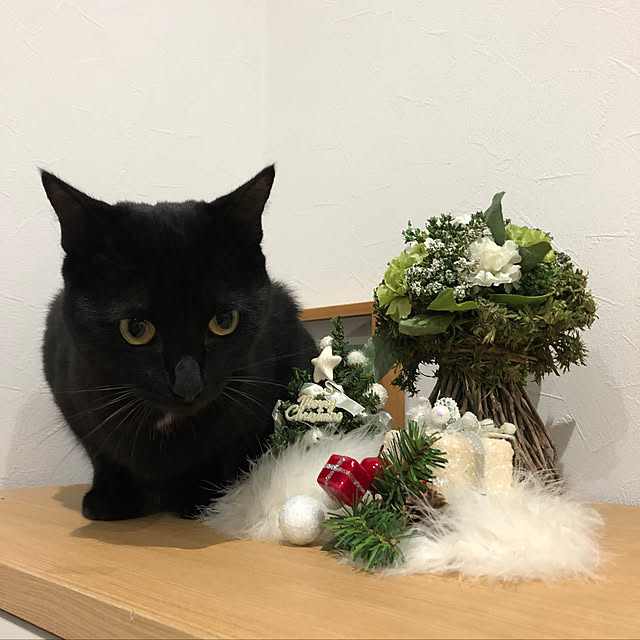 syrnuu946さんの実例写真