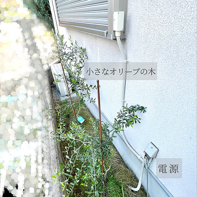 h_a_n_a_y_u_iさんの実例写真