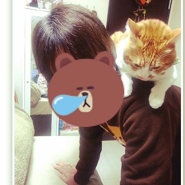 nyanyakoさんの実例写真