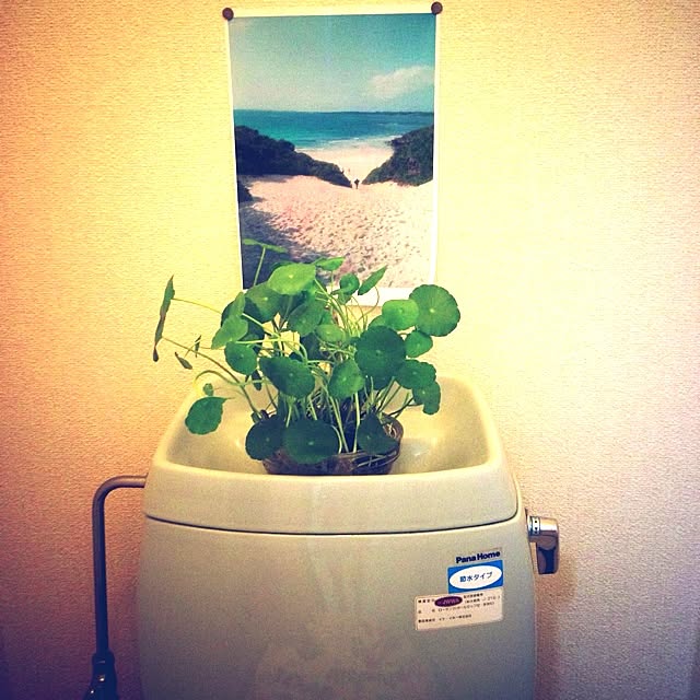 MAALchanさんの実例写真