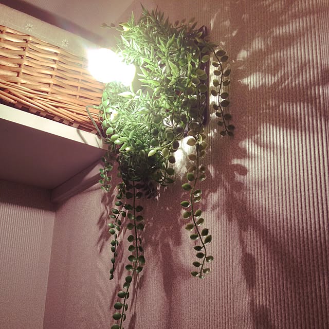 jnkryg2431さんの実例写真