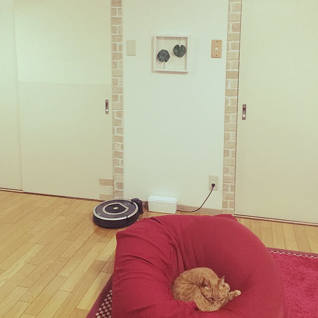 mikaさんの実例写真