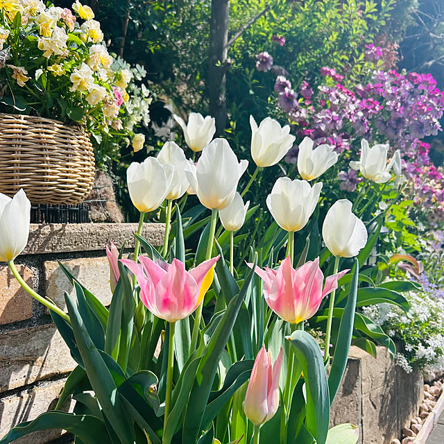 sunabaさんの実例写真