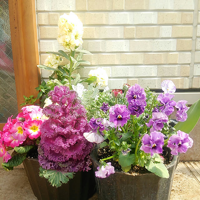 Marikoさんの実例写真