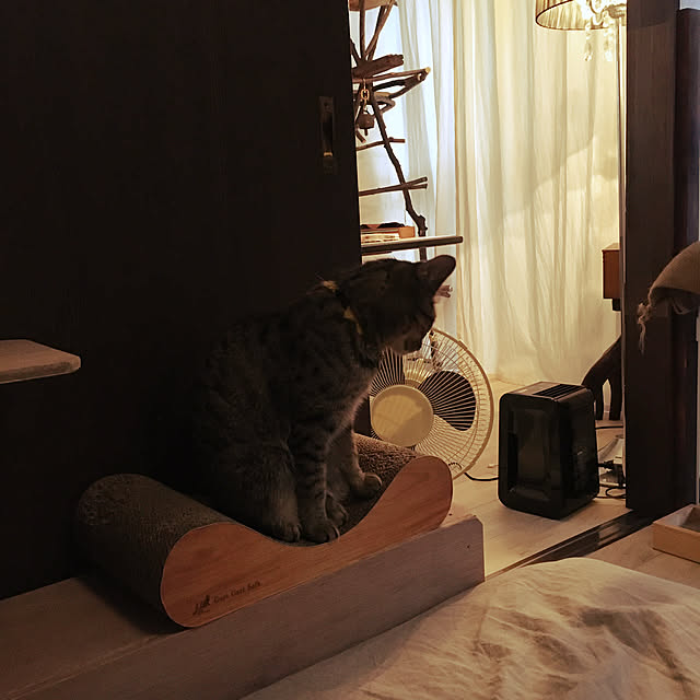 Mさんの実例写真