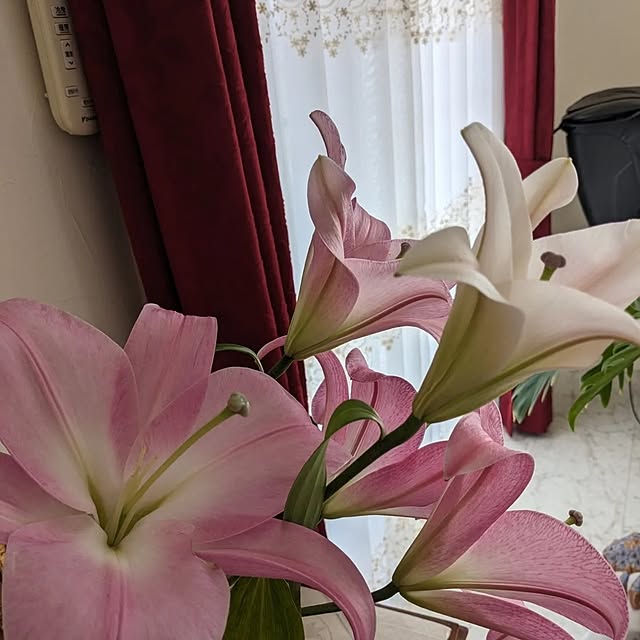 machikomamaさんの部屋