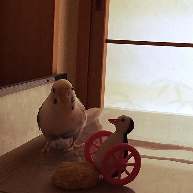ryouyum126さんの実例写真
