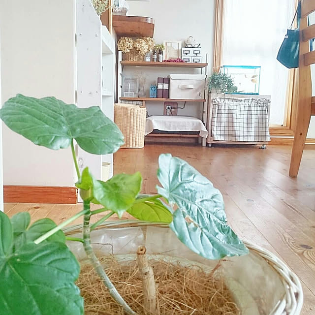 ai.happyplaceさんの実例写真