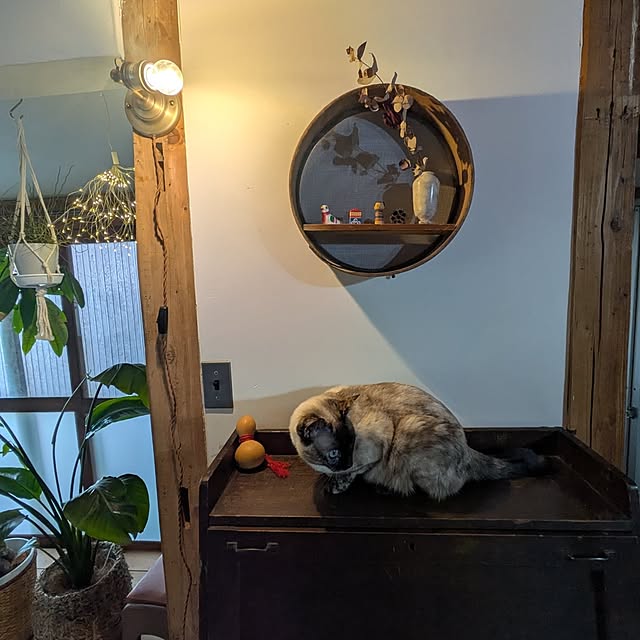 isikoro.DIYさんの実例写真