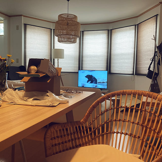 IKEA/リビングのインテリア実例 - 2021-08-22 13:55:34