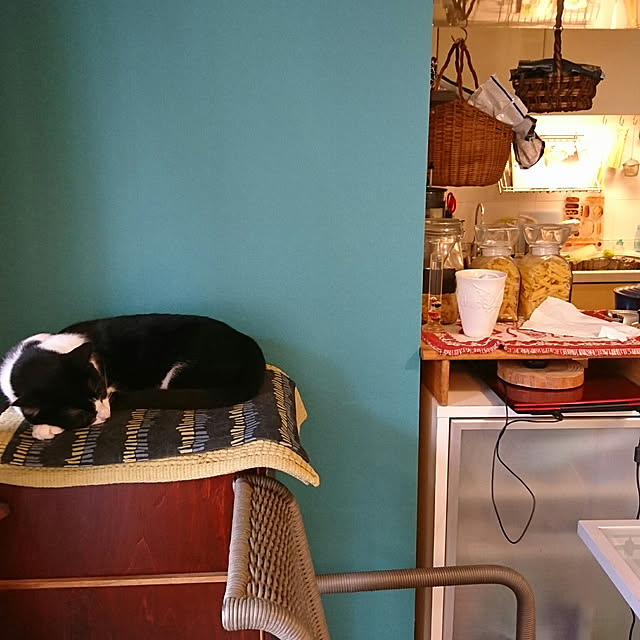 okyosan101さんの実例写真