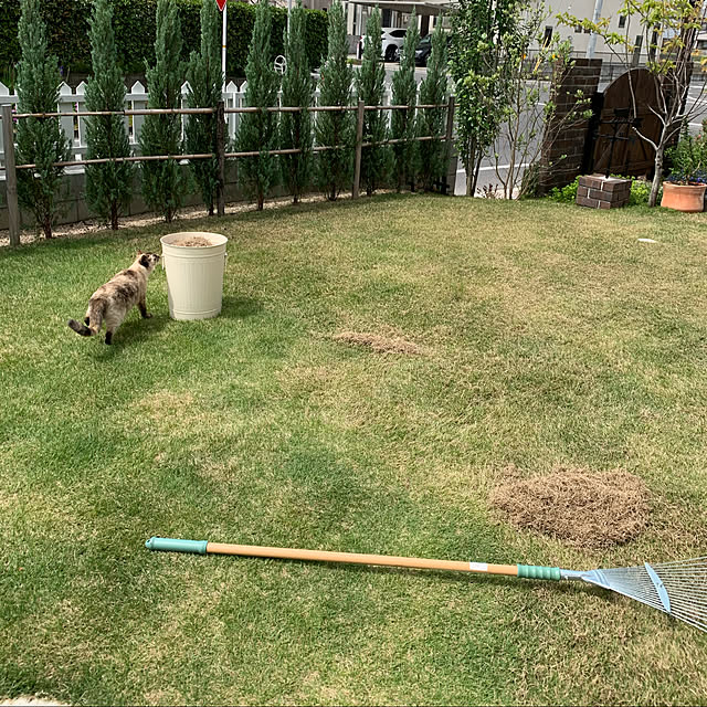 miyaさんの実例写真