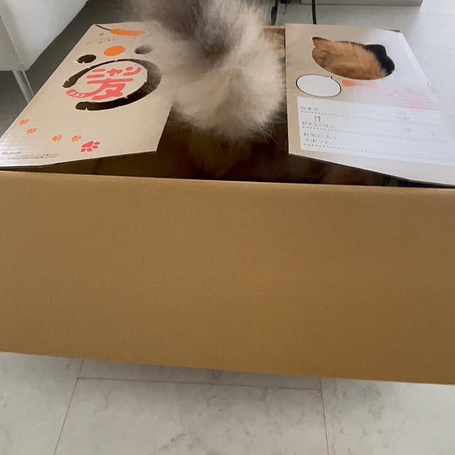 mya___kさんの部屋