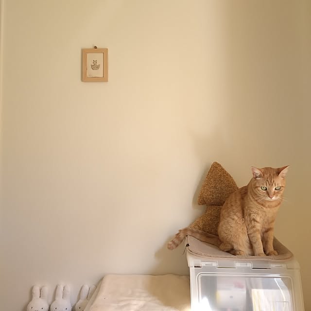 mayutan.さんの部屋