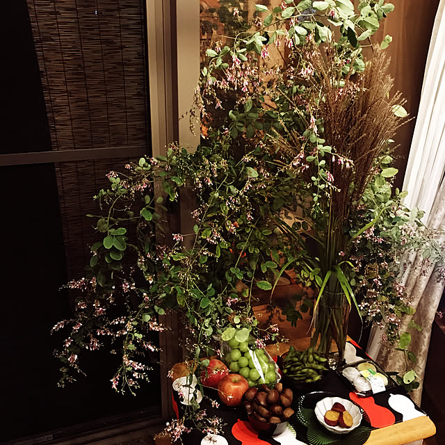 okadajapanさんの実例写真