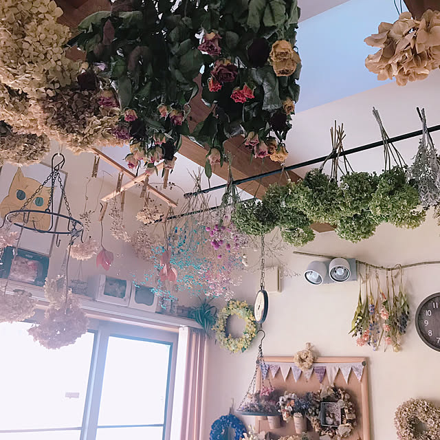 portulacaさんの実例写真