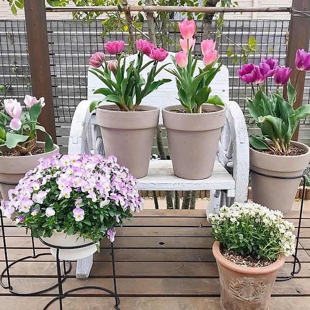 ryomomさんの部屋