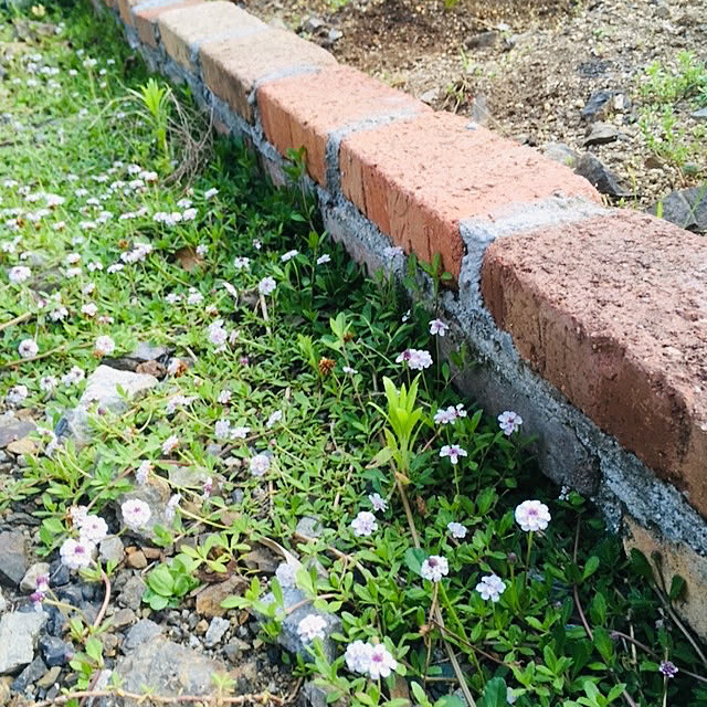hikoさんの実例写真