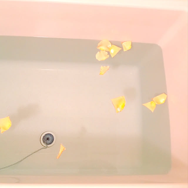 バス/トイレ/一人暮らし/６畳/ゆるミニマリスト/シンプルのインテリア実例 - 2019-02-12 08:13:04