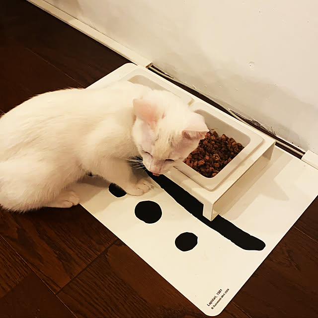 hanaさんの実例写真