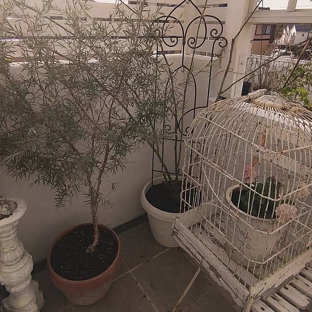 kiyosukeさんの部屋