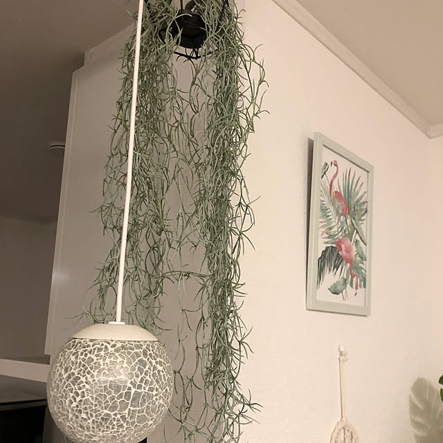 Mさんの部屋