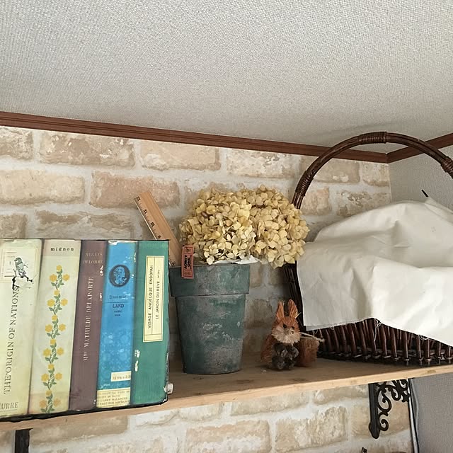 ikさんの実例写真
