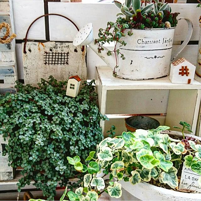 kanananaさんの実例写真