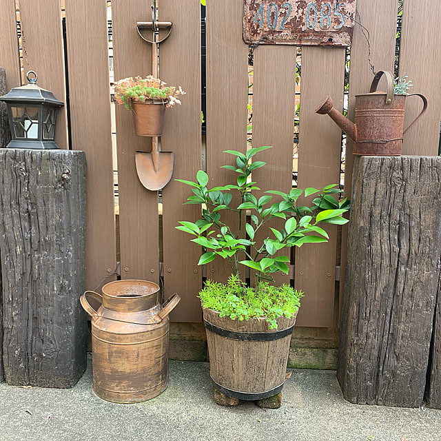 tabasaさんの実例写真
