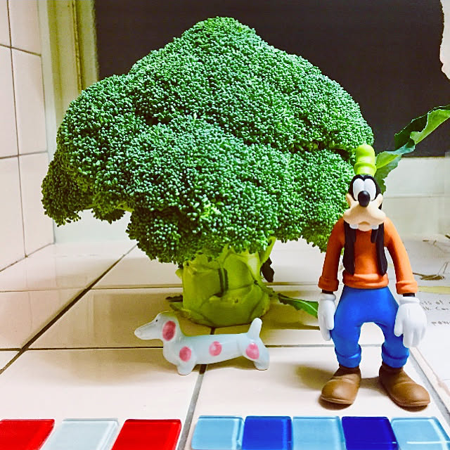 takakoさんの実例写真