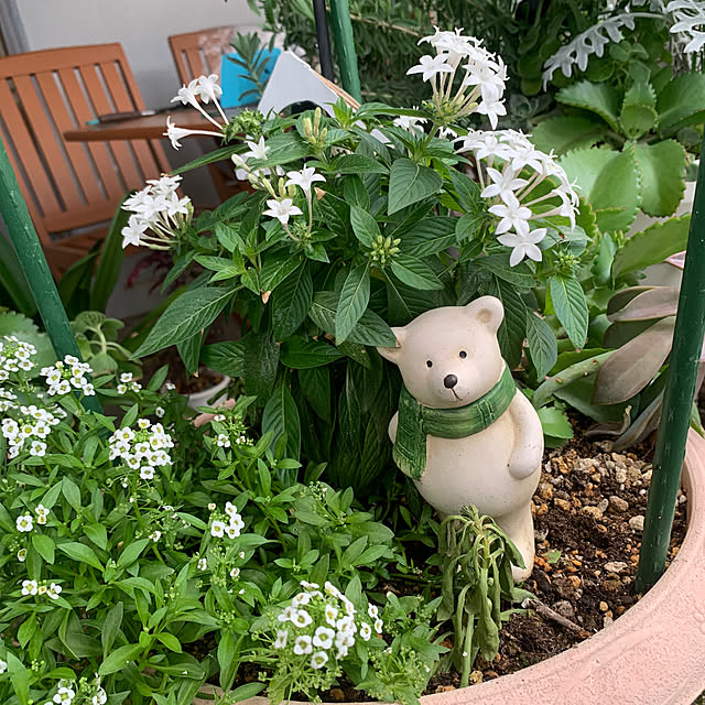Aqettyさんの実例写真