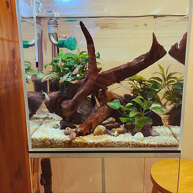 KJmaedaさんの実例写真