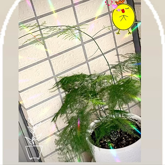 YuuKoさんの実例写真