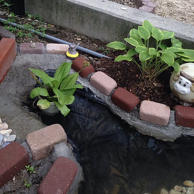 mizutamaさんの実例写真