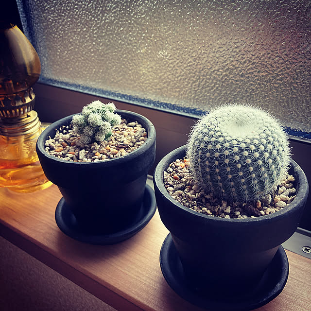 pochiさんの実例写真