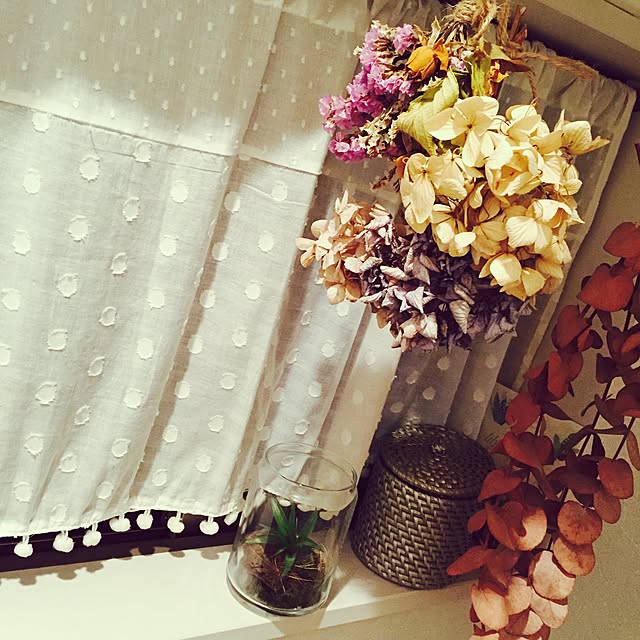 Jepsen.Dさんの実例写真