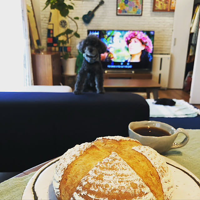 takefamiさんの実例写真