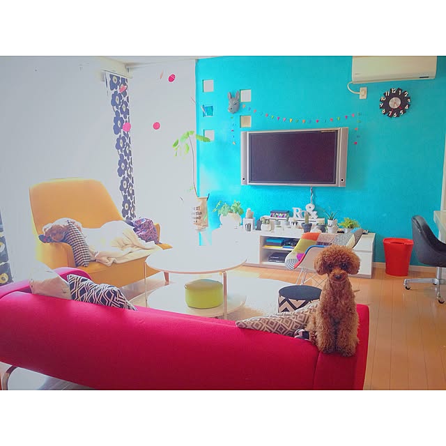 popさんの実例写真