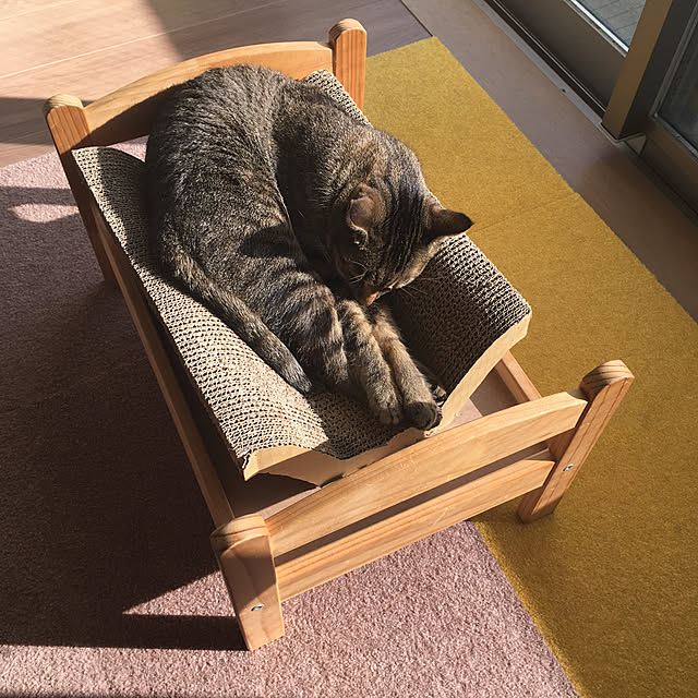 mikomaruさんの実例写真