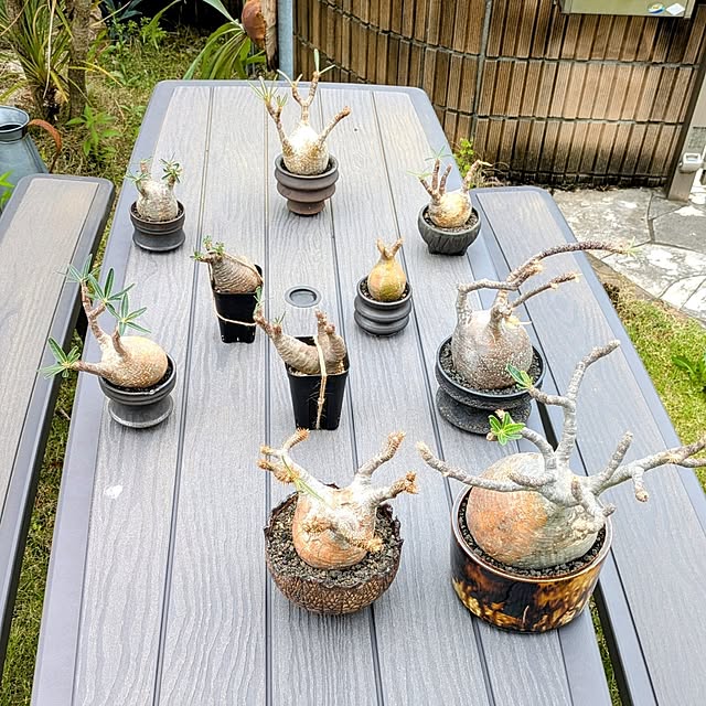 ot-gardenさんの実例写真