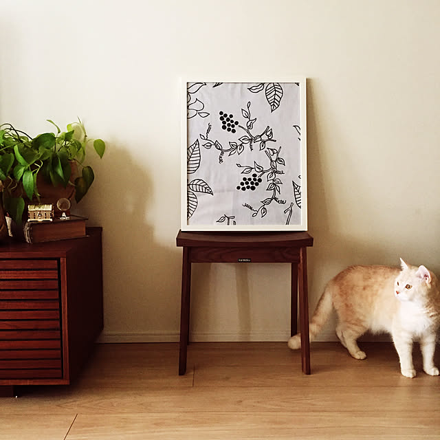 y.k.0123さんの実例写真