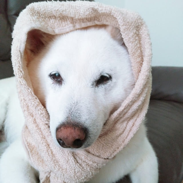 yukinkoさんの実例写真