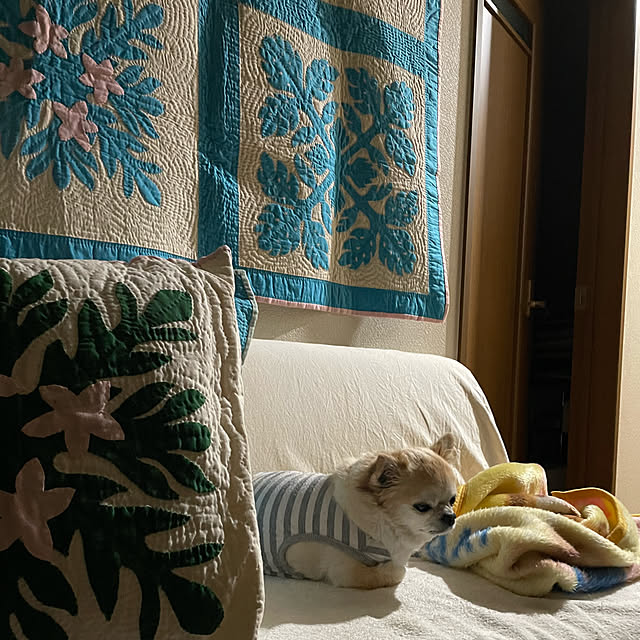 natsumiさんの部屋