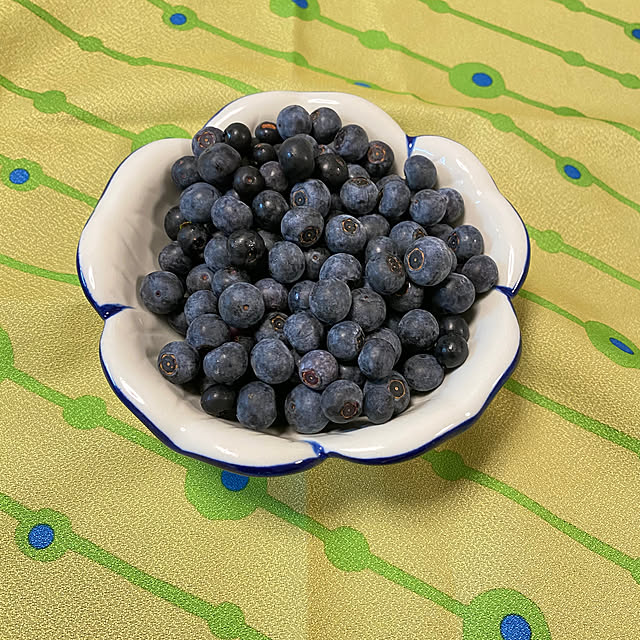 sukkorobiさんの部屋