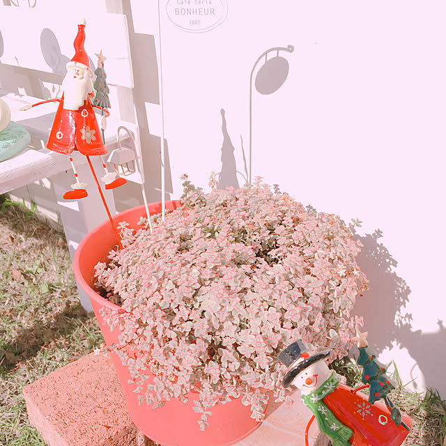 t.m.r.sさんの実例写真